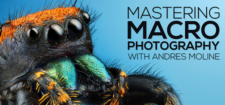 Mastering Macro Photography