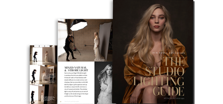 The Portrait Masters - The Studio Lighting Guide