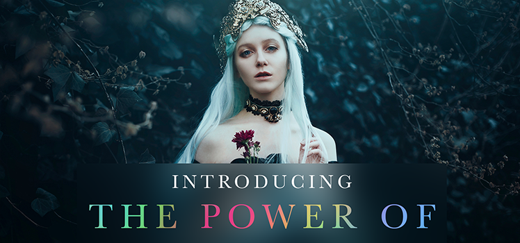 The Power of Color to Transform Your Images