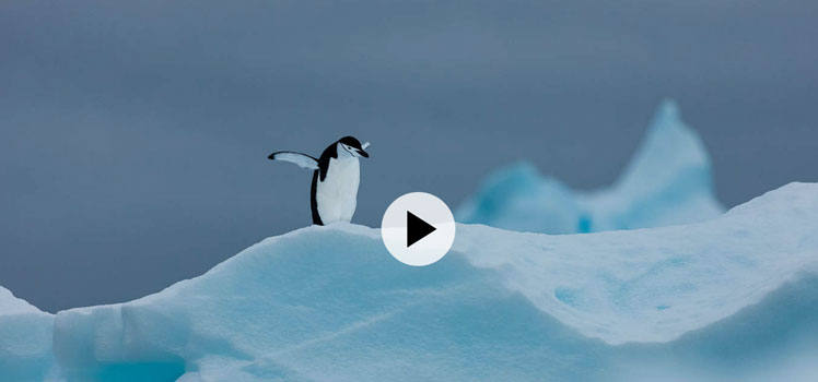 Minimalist Photography - Curtis Jones