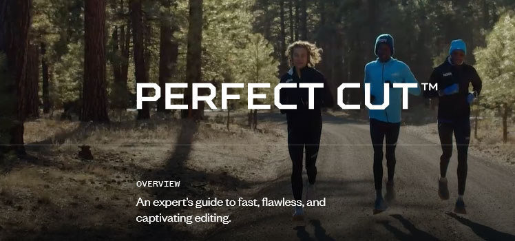 The Perfect Cut - The Art Of Documentary