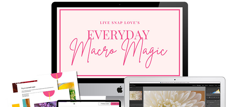 Live Snap Love - Everyday Macro Magic