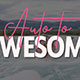 LiveSnapLove – Auto to Awesome 2.0 (VIP)